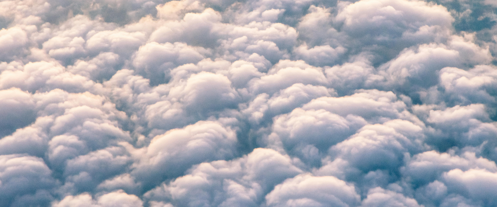 Bizzi Cloud